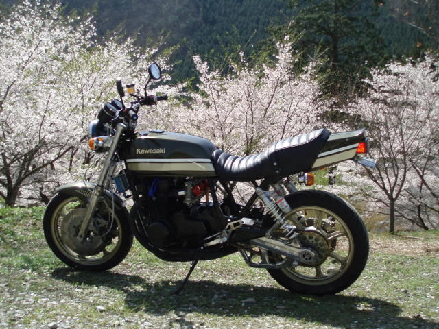 Z750GP