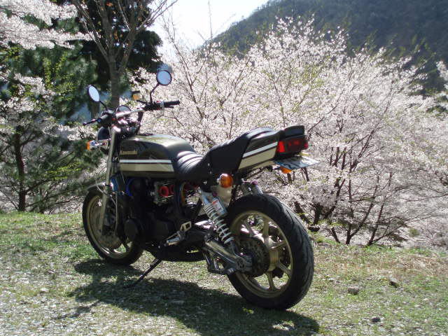 Z750GP